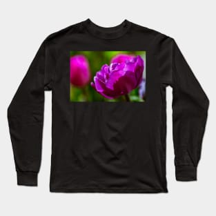 Group of purple tulips Long Sleeve T-Shirt